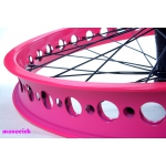 roue 19" trial koxx