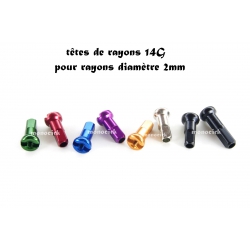 tête rayon 14G couleur