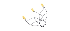 éventails lotus 570g