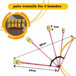 2 éventails pliables