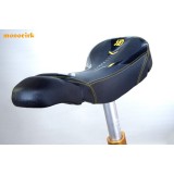 copy of monocycle 26" ISIS pneu cross