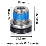 copy of vis M12 allen