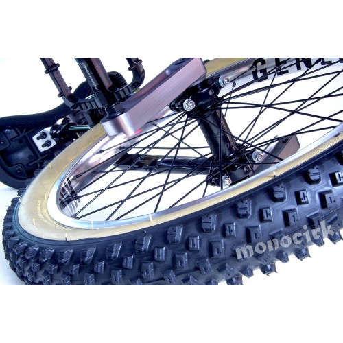 monocycle 20" ISIS cross, descente, trial, magasin Nantes cirque BZH