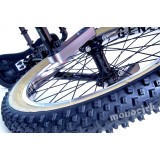 monocycle 20" ISIS cross, descente, trial, magasin Nantes cirque BZH