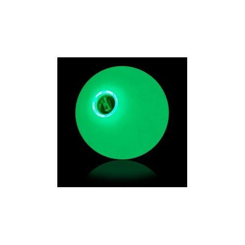 copy of copy of anneau lumineux 35cm