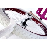 copy of copy of copy of monocycle 26" ISIS pneu cross