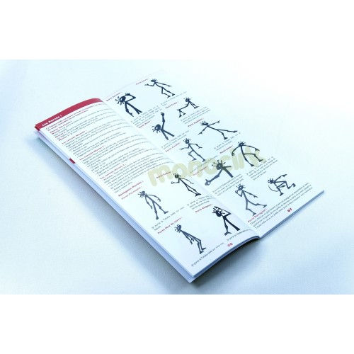 balle Tshaka livret découverte initiation, magasin cirque Nantes 44