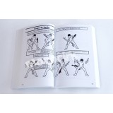 livre "la jonglerie simple et facile" par Dave Finnigan 580 page