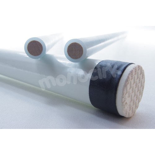 2 embouts protection golo conique