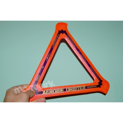 copy of frisbee anneau AEROBIE 33cm