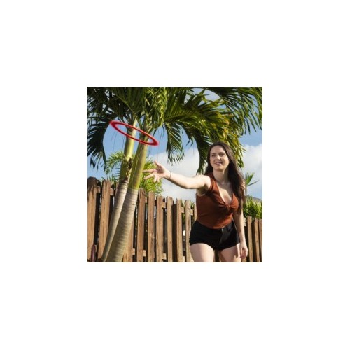 copy of frisbee anneau AEROBIE 33cm