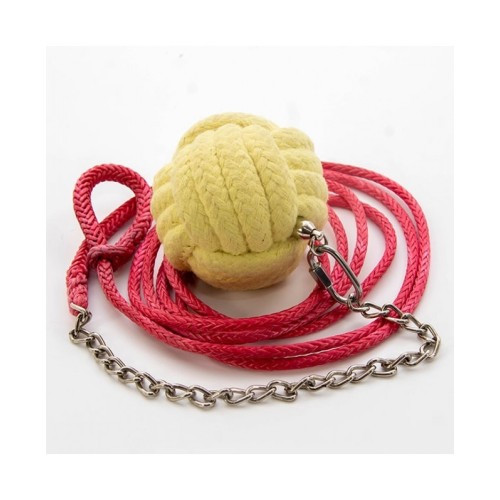 rope dart FIRELOVERS 2,5m tête 80mm