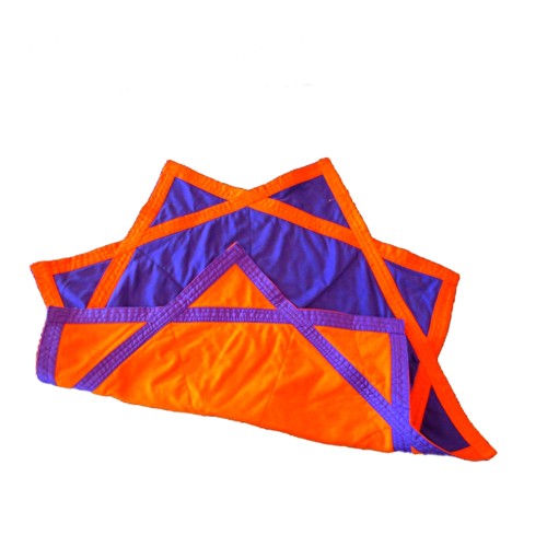 copy of fribee dapo 240g rouge-bleu