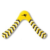 copy of copy of frisbee anneau AEROBIE 33cm